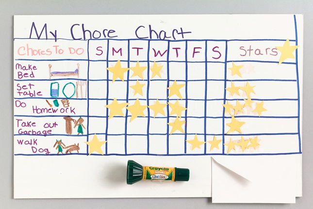 Chore Chart craft