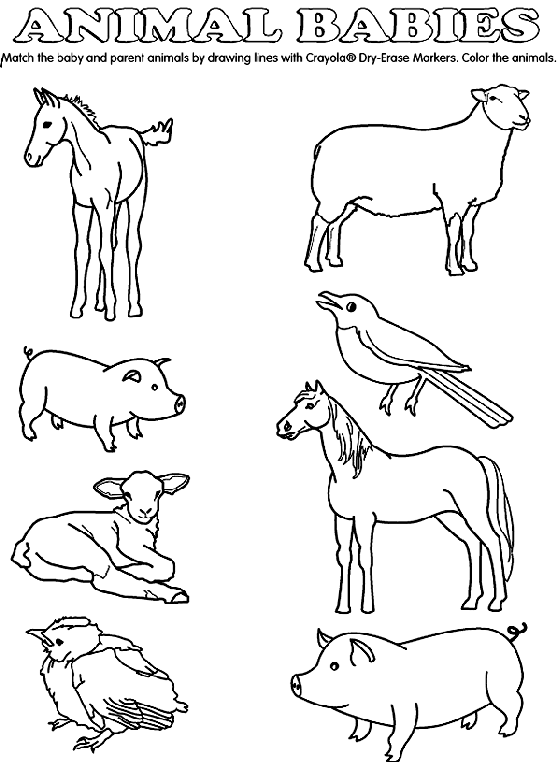 Baby Animal Match coloring page