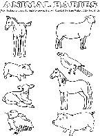 Baby Animal Match coloring page