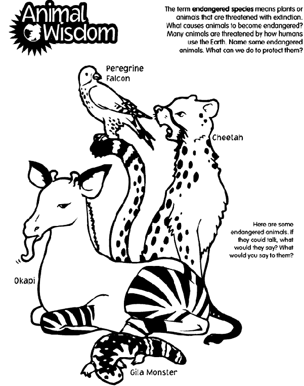 Animal Wisdom coloring page