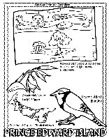 Canadian Province - Prince Edward Island coloring page