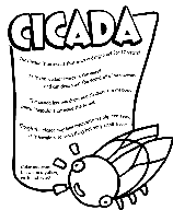 Cicada coloring page