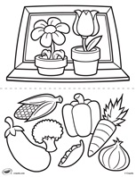 First Pages Flowers And Veggies