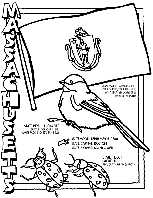 Massachusetts coloring page