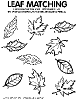 Leaf Matching Game coloring page