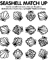 Sea Shell Match Up coloring page